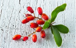 affiliate page_baner_12-min